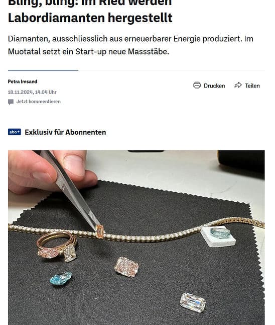 Aargau Zeitung Diamonds story_edited.jpg